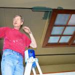 Longtime Greenbank Farm gallery making move to Langley