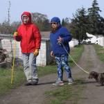 The Cascade Dachshund Club holds field training at the Pacific Rim Institute for Environmental Stewardship near Coupeville Sunday. Photo by Ron Newberry/Whidbey News-Times