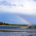 Where there&rsquo;s clouds and rain there&rsquo;s also rainbows. This one makes an appearance over Penn Cove. Photo by Patricia Guthrie/Whidbey News-Times