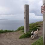 Robby the terrier trots along the hiking trail at Ebey&rsquo;s Landing State Park Thursday, April 20, 2017. A 3.1-magnitude earthquake struck two miles offshore from the park Wednesday night. Photo by Ron Newberry/Whidbey News-Times.
