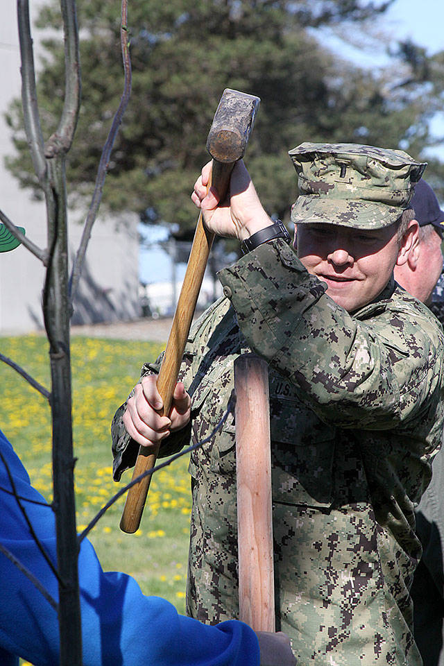 Lt.j.g. Sean Finney with Naval Facilities Engineering Command Northwest drives a stake in the ground to support a newly planted northern red oak during activities at Naval Air Station Whidbey Island in support of Earth Day Friday, April 21, 2017. Photo by Ron Newberry/Whidbey News-Times