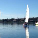 From left, Slingshot, Vertigo and Gadzooks search for a breeze. (Photo by Byron Skubi)