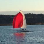 Slingshot sails at sunset. (Photo by Byron Skubi)