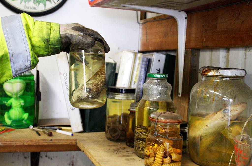Many weird things have been left at the toxic waste site over the years, including unidentifiable jars of snakes, worms and fish, points out Gene Clark, recycling and hazardous waste coordinator.