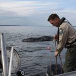 Whale of a tale: No day the same for Fish & Wildlife enforcement
