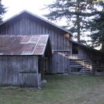 The Sheep Barn along the new Pratt Loop Trail will be fixed up a bit in its interior to accomodate educators. Photo by Ron Newberry/Whidbey News-Times