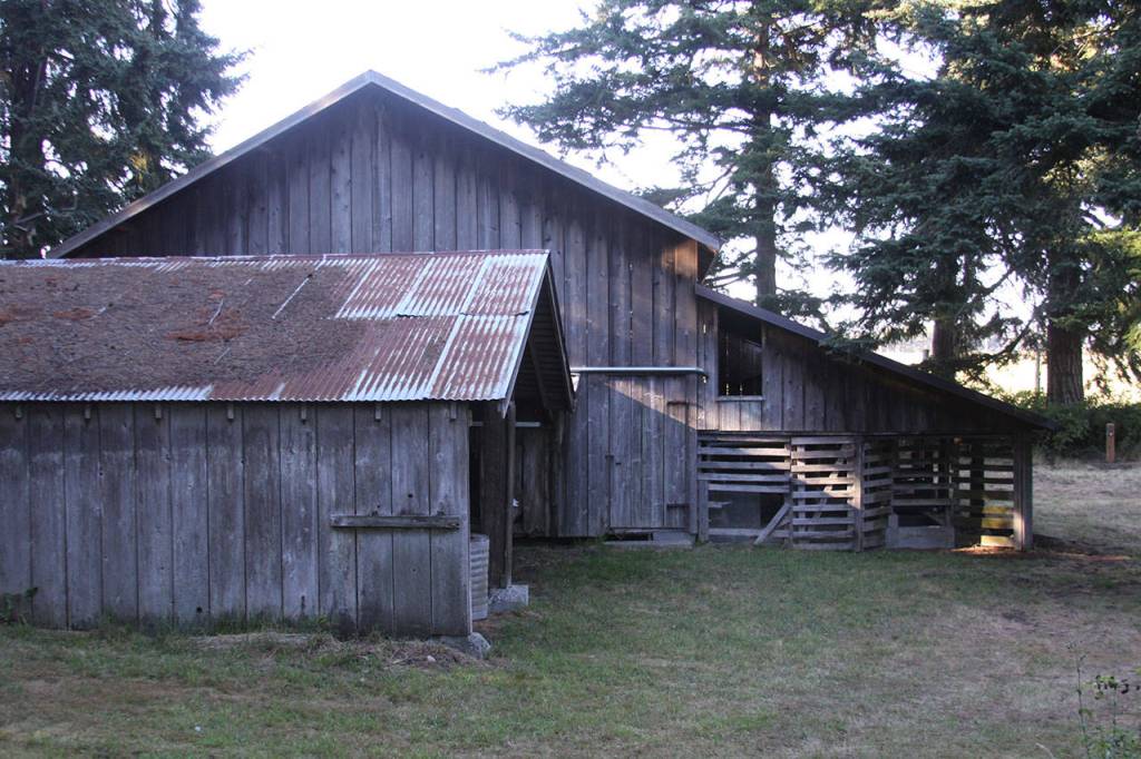 The Sheep Barn along the new Pratt Loop Trail will be fixed up a bit in its interior to accomodate educators. Photo by Ron Newberry/Whidbey News-Times