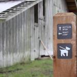 The Sheep Barn along the new Pratt Loop Trail will be fixed up a bit in its interior to accomodate educators. Photo by Ron Newberry/Whidbey News-Times