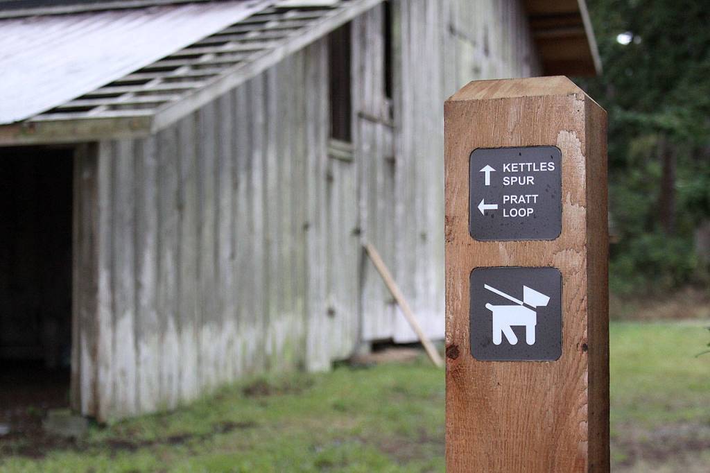 The Sheep Barn along the new Pratt Loop Trail will be fixed up a bit in its interior to accomodate educators. Photo by Ron Newberry/Whidbey News-Times