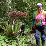 Photo by Kyle Jensen / Whidbey News Group &mdash; Volunteer Arlee Anderson wears a tie-dye shirt most Thursdays mornings, an homage to the volunteer group&rsquo;s name.