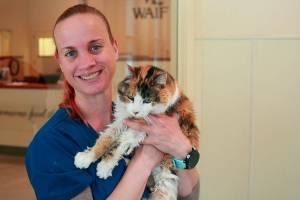 WAIF’s Seniors for Seniors program a win-win