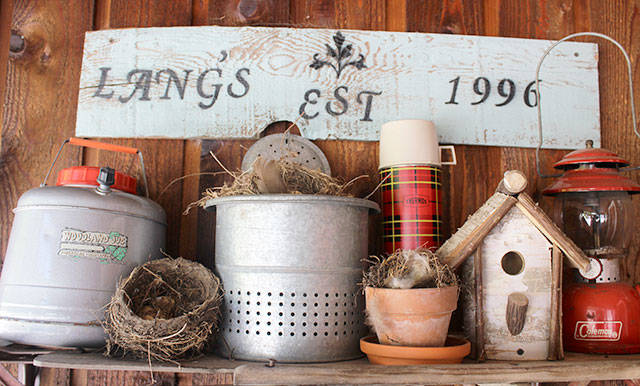Vintage camping and cooking gear, bird nests and bird houses sit atop an old-fashioned wooden sled turned into a shelf.