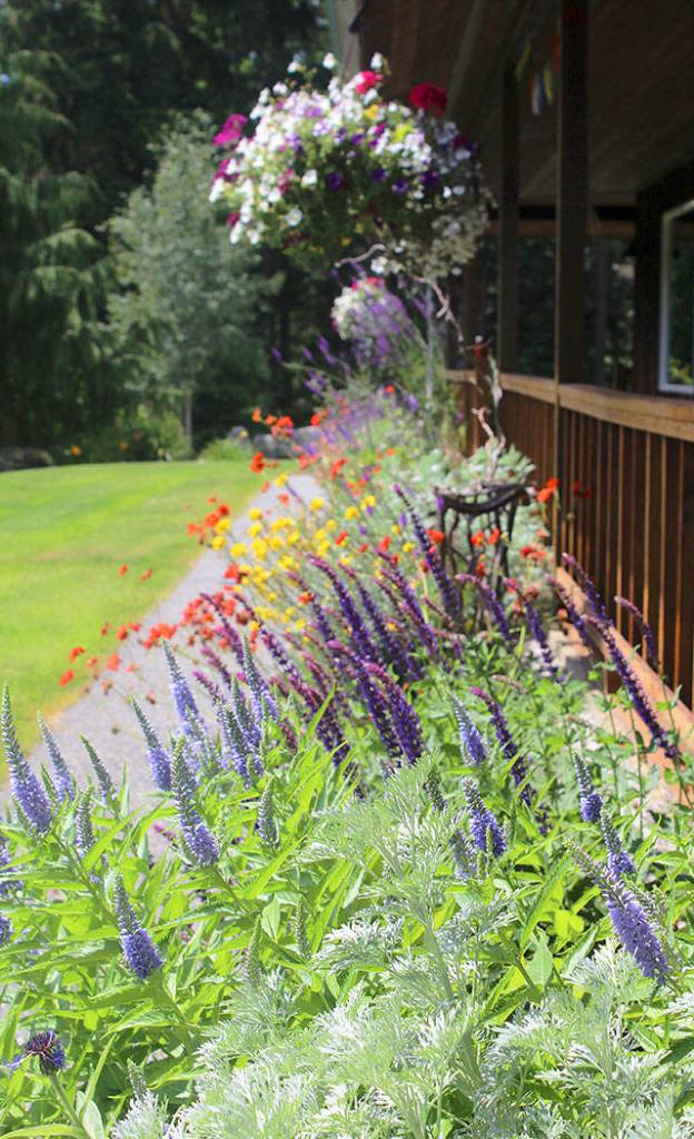 Lavender, lupine and other a variety of native plants grow in front of the Lang home while flower baskets accent the wrap-a-round porch.