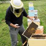 Couple leaves buzz of Seattle to create own buzz on Whidbey