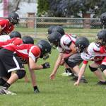 Wildcats, Wolves hit field for spring camp / Football