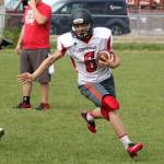 Wildcats, Wolves hit field for spring camp / Football