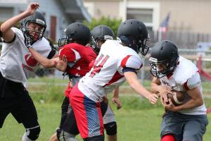 Wildcats, Wolves hit field for spring camp / Football