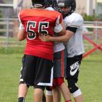 Wildcats, Wolves hit field for spring camp / Football
