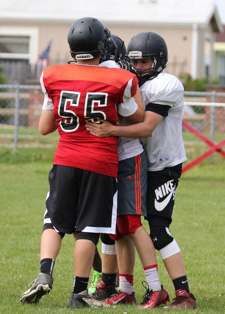 Wildcats, Wolves hit field for spring camp / Football
