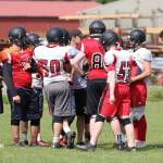 Wildcats, Wolves hit field for spring camp / Football
