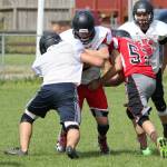 Wildcats, Wolves hit field for spring camp / Football
