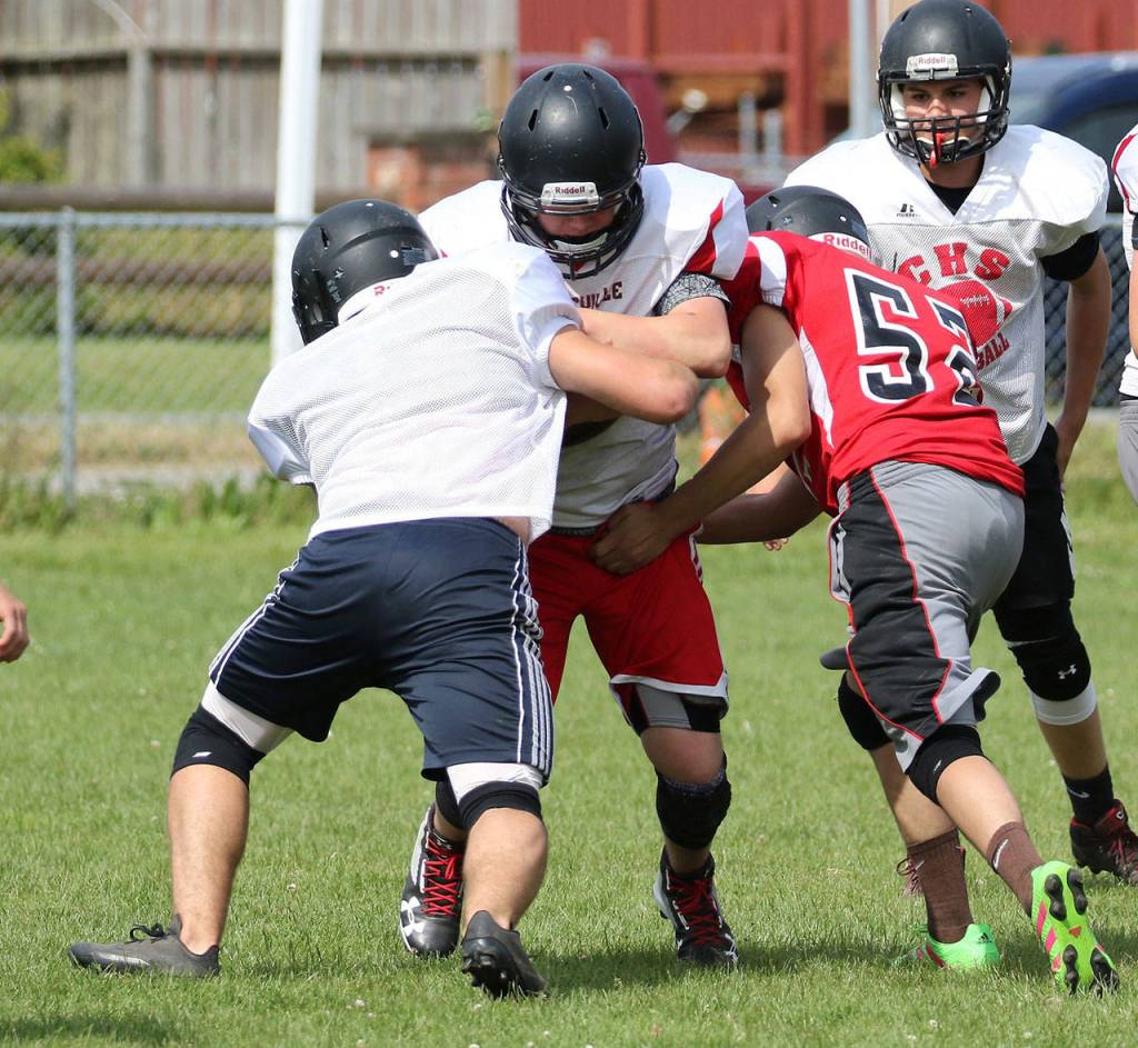 Wildcats, Wolves hit field for spring camp / Football
