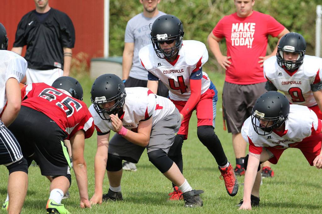 Wildcats, Wolves hit field for spring camp / Football