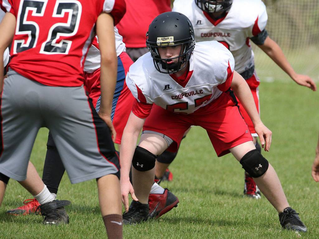 Wildcats, Wolves hit field for spring camp / Football