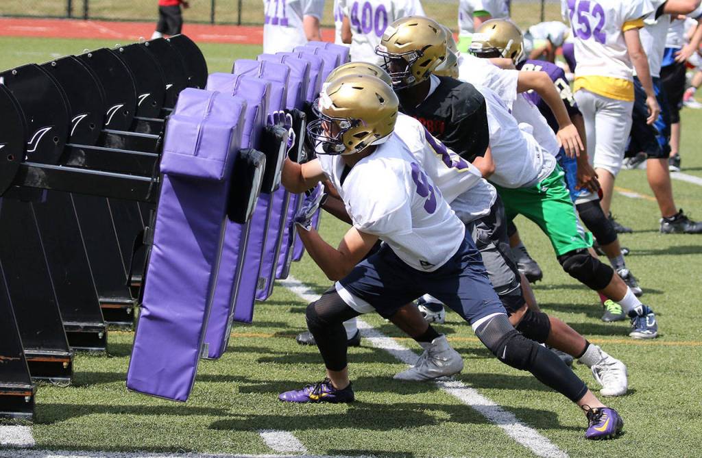 Wildcats, Wolves hit field for spring camp / Football