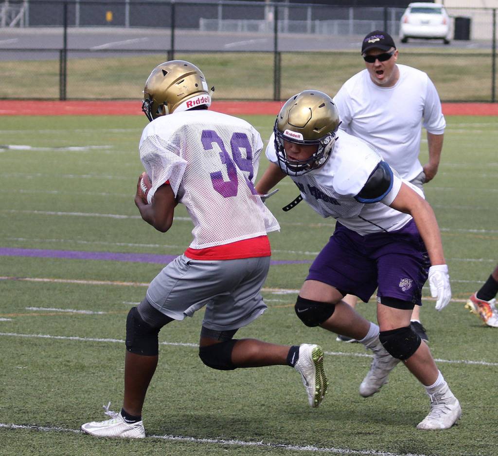 Wildcats, Wolves hit field for spring camp / Football