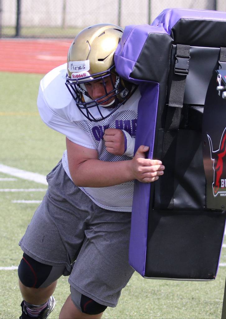 Wildcats, Wolves hit field for spring camp / Football