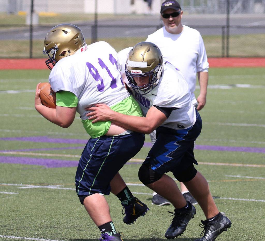 Wildcats, Wolves hit field for spring camp / Football