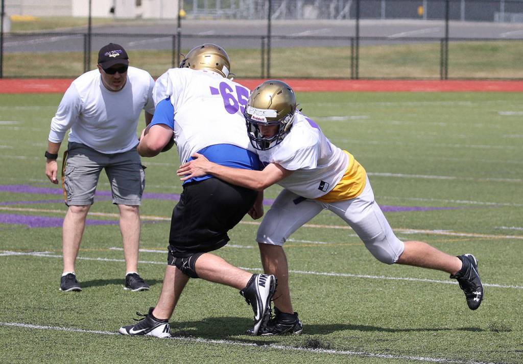 Wildcats, Wolves hit field for spring camp / Football