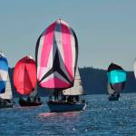 Ryan Forbes in Ekono Juan (422), center, leads the way in one of the races this weekend. Forbes won the North American title for the second straight year. (Photo by Steve Hucke)