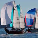 Steckman finishes fourth in North American Championships / Sailing