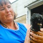 Oak Harbor woman taking barnyard to Whidbey fair