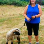 Shanna Flower works with Bob Two, a lamb she is bringing to Whidbey Island Fair&rsquo;s petting zoo this Thursday. She said she hopes the children with mellow the fur ball out. Photo by Daniel Warn/Whidbey News-Times