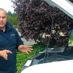 Going green: Good for the environment, good for business