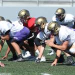 Quarterback Jordan Bell sets the Wildcats at the line of scrimmage. (Photo by John Fisken)