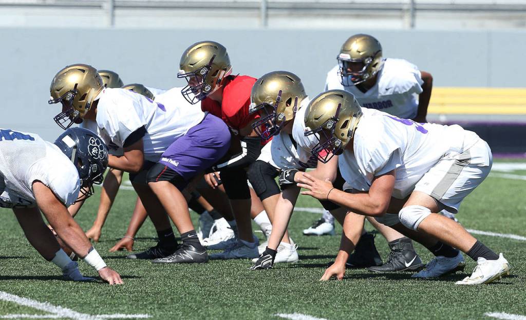 Quarterback Jordan Bell sets the Wildcats at the line of scrimmage. (Photo by John Fisken)