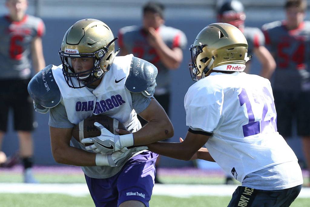 QB Caleb Fitzgerald hands offs to Mac Nuanez. (Photo by John Fisken)