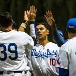 Jay Stout (10) celebrates a run with his Bakerfield teammates. (Photo by Jennifer Johnson)