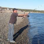 Andrew Score tries his luck at catching pink salmon Monday evening, casting off from Driftwood Beach Park. &ldquo;If it was a good season, there would be 100 guys lining the beach,&rdquo; he said. There were five. And a happy sea lion a few yards out. Photo by Patricia Guthrie/Whidbey News-Times