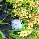 These hidden piggy banks can be returned to a Peoples Bank branch for a prize and to be entered into a drawing for a grand prize as part of the &ldquo;Pigs in Parks&rdquo; contest. Photo courtesy of Peoples Bank