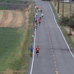 Runners string out one mile into the marathon. (Photo by Jim Waller/Whidbey News-Times)