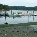 Dock crabbing at Cornet Bay is about to become one-third less fun