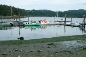 Dock crabbing at Cornet Bay is about to become one-third less fun
