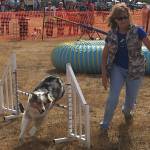 Wag ‘n’ Walk helps develop doggy skills