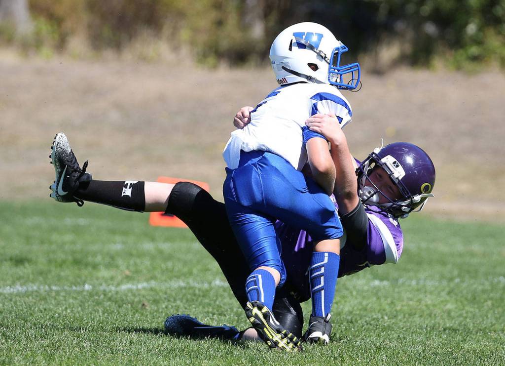 Noah Crawford of the Oak Harbor Midget Gold team takes down the Sedro-Woolley quarterback for a safety. (Photo by John Fisken)