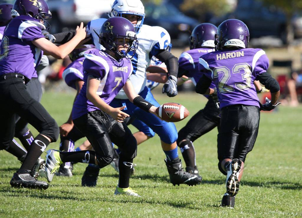 Oak Harbor Junior Gold quarterback Logan Downes hands off to Taiis Hardin. (Photo by John Fisken)
